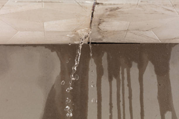 Professional Burst Pipe Cleanup technician working in Frankfort, IL